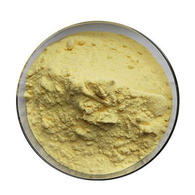 C20H22N8O5 Yellow MTX Methotrexate Powder CAS 59-05-2